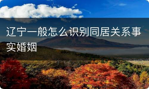 辽宁一般怎么识别同居关系事实婚姻