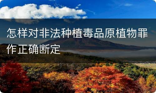 怎样对非法种植毒品原植物罪作正确断定
