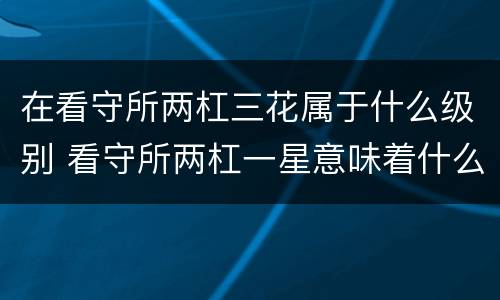 在看守所两杠三花属于什么级别 看守所两杠一星意味着什么