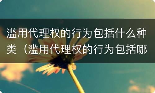 滥用代理权的行为包括什么种类（滥用代理权的行为包括哪些类型）