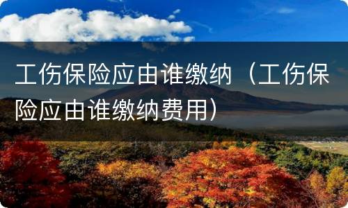 工伤保险应由谁缴纳（工伤保险应由谁缴纳费用）