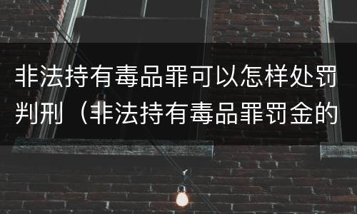 非法持有毒品罪可以怎样处罚判刑（非法持有毒品罪罚金的判定）