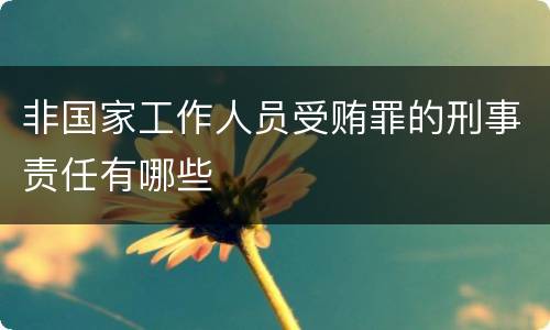 非国家工作人员受贿罪的刑事责任有哪些