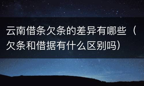 云南借条欠条的差异有哪些（欠条和借据有什么区别吗）
