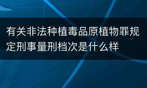 有关非法种植毒品原植物罪规定刑事量刑档次是什么样