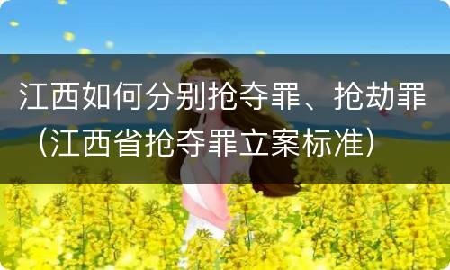 江西如何分别抢夺罪、抢劫罪（江西省抢夺罪立案标准）