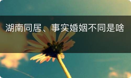 湖南同居、事实婚姻不同是啥