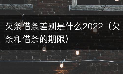 欠条借条差别是什么2022（欠条和借条的期限）