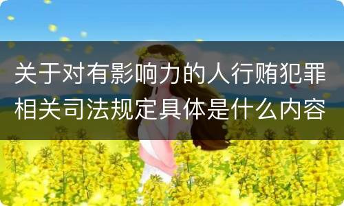 关于对有影响力的人行贿犯罪相关司法规定具体是什么内容