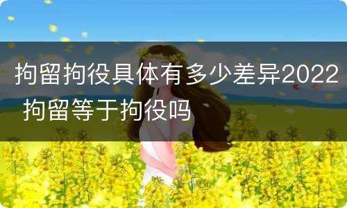 拘留拘役具体有多少差异2022 拘留等于拘役吗