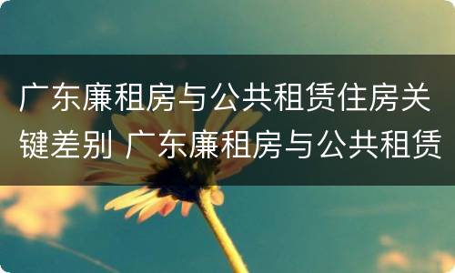 广东廉租房与公共租赁住房关键差别 广东廉租房与公共租赁住房关键差别是什么
