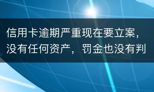 信用卡逾期严重现在要立案，没有任何资产，罚金也没有判刑出来后怎么处理