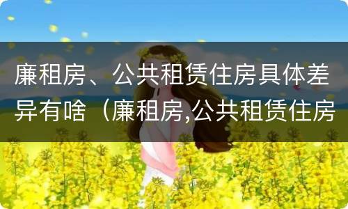 廉租房、公共租赁住房具体差异有啥（廉租房,公共租赁住房具体差异有啥不同）