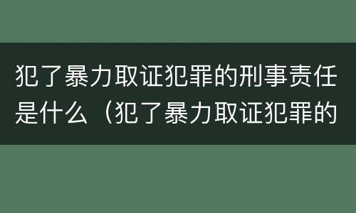 犯了暴力取证犯罪的刑事责任是什么（犯了暴力取证犯罪的刑事责任是什么意思）
