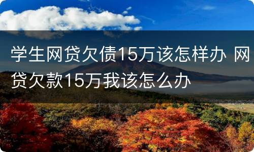 学生网贷欠债15万该怎样办 网贷欠款15万我该怎么办