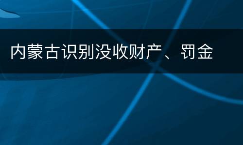 内蒙古识别没收财产、罚金