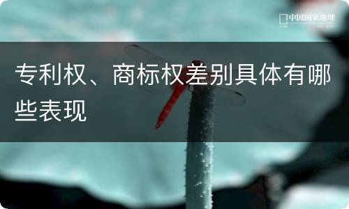 专利权、商标权差别具体有哪些表现