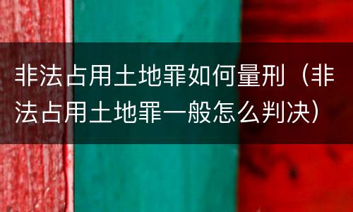 非法占用土地罪如何量刑（非法占用土地罪一般怎么判决）