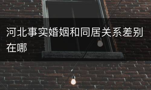 河北事实婚姻和同居关系差别在哪