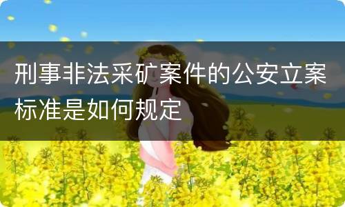 刑事非法采矿案件的公安立案标准是如何规定