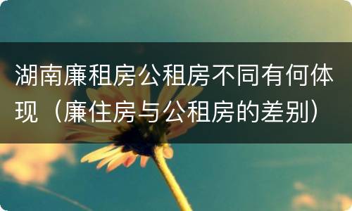 湖南廉租房公租房不同有何体现（廉住房与公租房的差别）