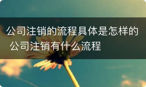 公司注销的流程具体是怎样的 公司注销有什么流程