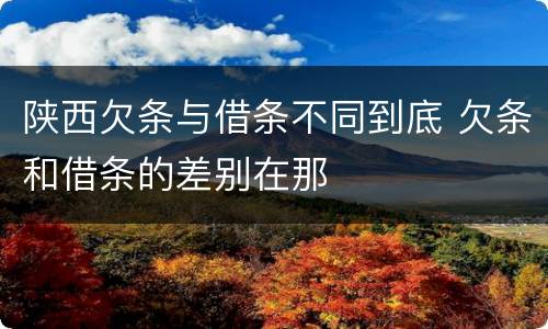 陕西欠条与借条不同到底 欠条和借条的差别在那