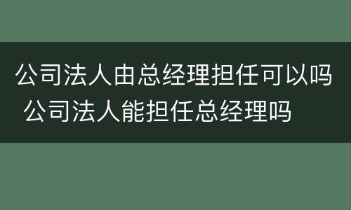 公司法人由总经理担任可以吗 公司法人能担任总经理吗