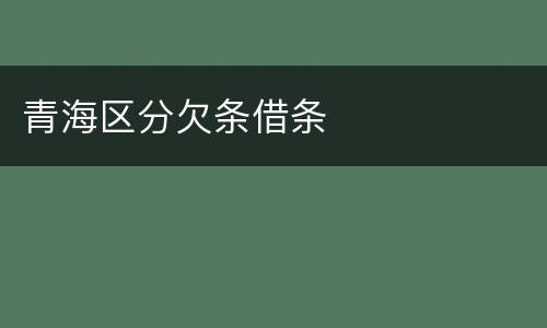 青海区分欠条借条