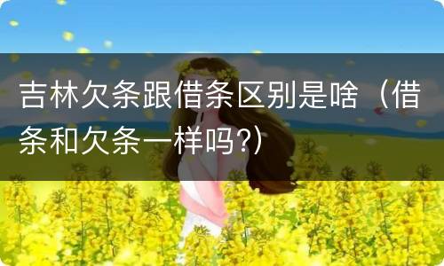 吉林欠条跟借条区别是啥（借条和欠条一样吗?）
