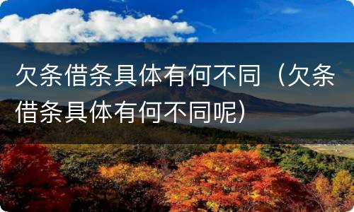 欠条借条具体有何不同（欠条借条具体有何不同呢）