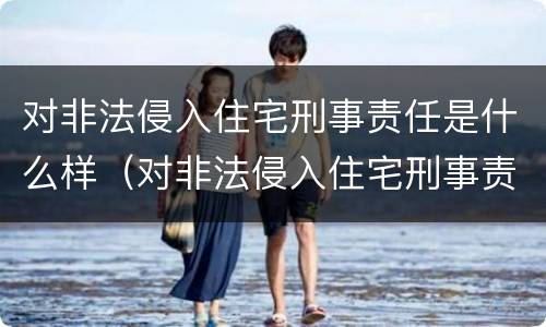对非法侵入住宅刑事责任是什么样（对非法侵入住宅刑事责任是什么样的）