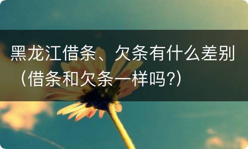 黑龙江借条、欠条有什么差别（借条和欠条一样吗?）