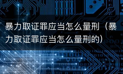 暴力取证罪应当怎么量刑（暴力取证罪应当怎么量刑的）