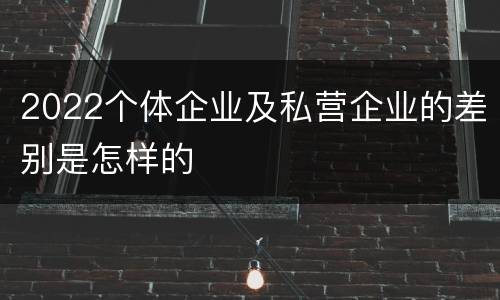 2022个体企业及私营企业的差别是怎样的