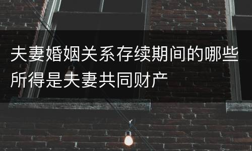 夫妻婚姻关系存续期间的哪些所得是夫妻共同财产