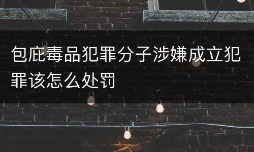 包庇毒品犯罪分子涉嫌成立犯罪该怎么处罚