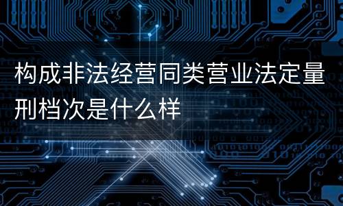 构成非法经营同类营业法定量刑档次是什么样