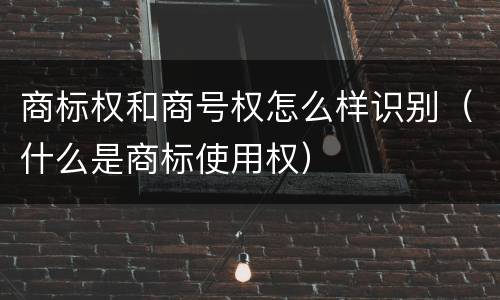 商标权和商号权怎么样识别（什么是商标使用权）