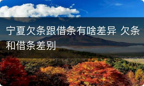 宁夏欠条跟借条有啥差异 欠条和借条差别