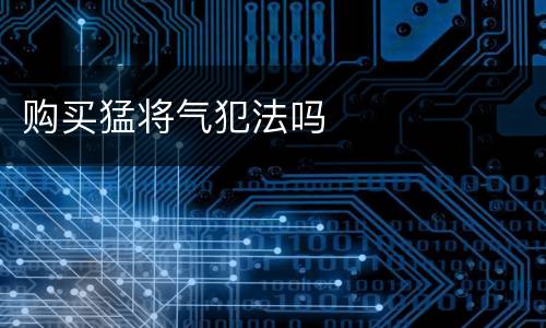 购买猛将气犯法吗