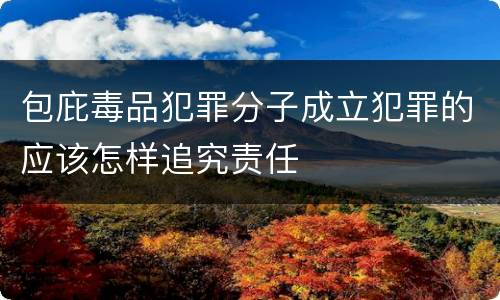 包庇毒品犯罪分子成立犯罪的应该怎样追究责任