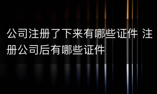 公司注册了下来有哪些证件 注册公司后有哪些证件