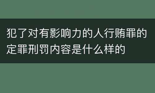 犯了对有影响力的人行贿罪的定罪刑罚内容是什么样的