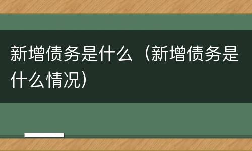 新增债务是什么（新增债务是什么情况）