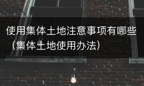 使用集体土地注意事项有哪些（集体土地使用办法）
