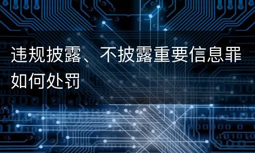 违规披露、不披露重要信息罪如何处罚