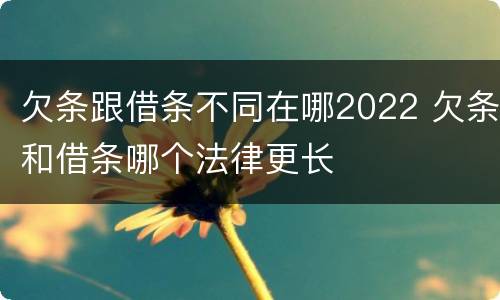 欠条跟借条不同在哪2022 欠条和借条哪个法律更长