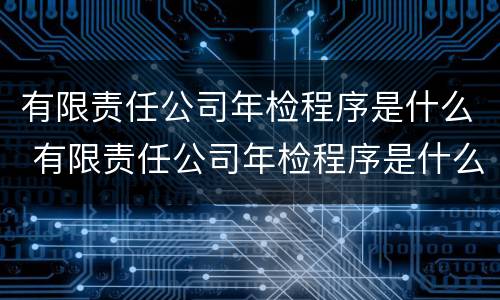 有限责任公司年检程序是什么 有限责任公司年检程序是什么