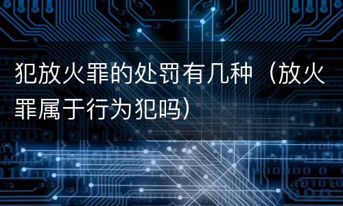 犯放火罪的处罚有几种（放火罪属于行为犯吗）
